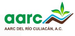 cliente04